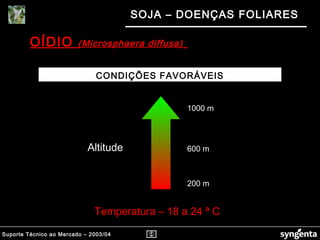 Suporte Técnico ao Mercado – 2003/04
SOJA – DOENÇAS FOLIARES
OÍDIO (Microsphaera diffusa)(Microsphaera diffusa)
200 m
600 m
1000 m
Temperatura – 18 a 24 ª C
Altitude
CONDIÇÕES FAVORÁVEIS
 
