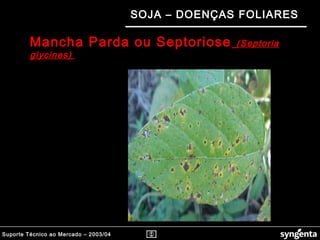 Suporte Técnico ao Mercado – 2003/04
SOJA – DOENÇAS FOLIARES
Mancha Parda ou Septoriose (Septoria(Septoria
glycines)glycines)
 