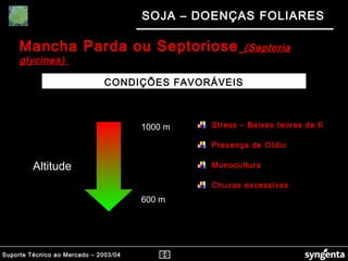 Suporte Técnico ao Mercado – 2003/04
SOJA – DOENÇAS FOLIARES
600 m
1000 m Stress – Baixos teores de K
Presença de Oídio
Monocultura
Chuvas excessivas
Altitude
Mancha Parda ou Septoriose (Septoria(Septoria
glycines)glycines)
CONDIÇÕES FAVORÁVEIS
 