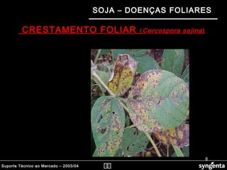 Suporte Técnico ao Mercado – 2003/04
SOJA – DOENÇAS FOLIARES
CRESTAMENTO FOLIAR (Cercospora sojina)
8
 