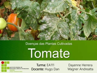 Doenças das Plantas Cultivadas 
Tomate 
Dayenne Herrera 
Wagner Andreatta 
Turma: EA111 
Docente: Hugo Dan 
 