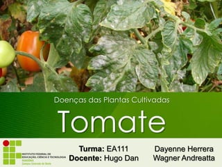 Doenças das Plantas Cultivadas
Tomate
Dayenne Herrera
Wagner Andreatta
Turma: EA111
Docente: Hugo Dan
 