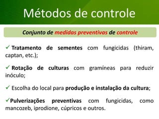 Grandes lesões nas folhas
Métodos de controle
Conjunto de medidas preventivas de controle
 Tratamento de sementes com fungicidas (thiram,
captan, etc.);
 Rotação de culturas com gramíneas para reduzir
inóculo;
 Escolha do local para produção e instalação da cultura;
Pulverizações preventivas com fungicidas, como
mancozeb, iprodione, cúpricos e outros.
 