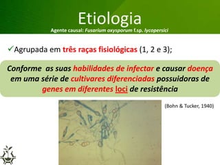 Grandes lesões nas folhas
Etiologia
Agrupada em três raças fisiológicas (1, 2 e 3);
Agente causal: Fusarium oxysporum f.sp. lycopersici
Conforme as suas habilidades de infectar e causar doença
em uma série de cultivares diferenciadas possuidoras de
genes em diferentes loci de resistência
(Bohn & Tucker, 1940)
 