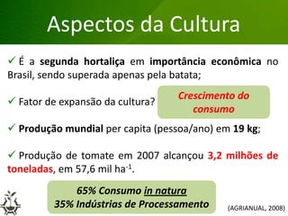 Grandes lesões nas folhas
Aspectos da Cultura
 É a segunda hortaliça em importância econômica no
Brasil, sendo superada apenas pela batata;
 Fator de expansão da cultura?
 Produção mundial per capita (pessoa/ano) em 19 kg;
 Produção de tomate em 2007 alcançou 3,2 milhões de
toneladas, em 57,6 mil ha-1.
Crescimento do
consumo
65% Consumo in natura
35% Indústrias de Processamento (AGRIANUAL, 2008)
 