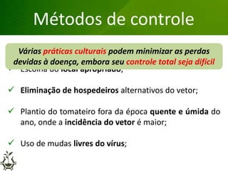 Métodos de controle
 Rotação com espécies não-suscetíveis;
 Escolha do local apropriado;
 Eliminação de hospedeiros alternativos do vetor;
 Plantio do tomateiro fora da época quente e úmida do
ano, onde a incidência do vetor é maior;
 Uso de mudas livres do vírus;
Várias práticas culturais podem minimizar as perdas
devidas à doença, embora seu controle total seja difícil
 
