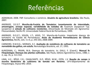 AGRIANUAL 2008. FNP. Consultoria e comércio. Anuário da agricultura brasileira. São Paulo,
2007.
ANDRADE, D.E.G.T. Murcha-de-Fusário do Tomateiro: Levantamento da intensidade,
amostragem, arranjo espacial, variabilidade de isolados de Fusarium oxysporum f.sp.
Lycopersici e seleção de cultivares resistentes. (Dissertação de Mestrado em Agronomia-
Fitossanidade). Recife-PE: Universidade Federal Rural de Pernambuco, 1999.
ANDRADE, D.E.G.T.; SOUZA, L.T.; ASSIS, T.C. Mancha-de-Fusário: Importante doença do
tomateiro no Estado de Pernambuco. Anais da Academia Pernambucana de Ciência
Agronômica, Recife, vols. 5 e 6, p. 243-263, 2008-2009.
CARNEIRO, R.M.D.G.; MORAES, E.C. Avaliação de resistência de cultivares de tomateiro ao
nematóide das galhas, em estufa. Nematologia Brasileira, vol. 17, 1993.
KUROZAWA, C.; PAVAN, M.A. Doenças do tomateiro. In: GALLI, F. (Coord.). Manual fe
Fitopatologia: Doenças das plantas cultivadas. São Paulo, Editora Agronômica Ceres, 1980, v.
2, cap. 35, p. 511-552.
LIMA, H.E.; RÊGO, E.R.; CAVALCANTE, G.P.; RÊGO, M.M.; COTA, L.V. Reação de campo à
murcha bacteriana de cultivares de tomate em Roraima. UFV-Departamento de
Fitopatologia, Viçosa-MG: 2010.
Referências
 