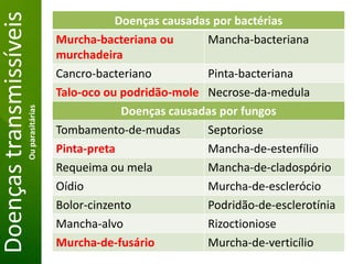 Grandes lesões nas folhas
Doençastransmissíveis Doenças causadas por bactérias
Murcha-bacteriana ou
murchadeira
Mancha-bacteriana
Cancro-bacteriano Pinta-bacteriana
Talo-oco ou podridão-mole Necrose-da-medula
Doenças causadas por fungos
Tombamento-de-mudas Septoriose
Pinta-preta Mancha-de-estenfílio
Requeima ou mela Mancha-de-cladospório
Oídio Murcha-de-esclerócio
Bolor-cinzento Podridão-de-esclerotínia
Mancha-alvo Rizoctioniose
Murcha-de-fusário Murcha-de-verticílio
Ouparasitárias
 
