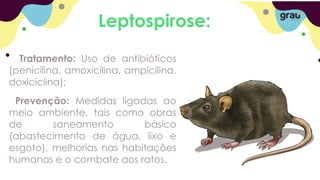 Leptospirose:
Tratamento: Uso de antibióticos
(penicilina, amoxicilina, ampicilina,
doxiciclina);
Prevenção: Medidas ligadas ao
meio ambiente, tais como obras
de saneamento básico
(abastecimento de água, lixo e
esgoto), melhorias nas habitações
humanas e o combate aos ratos.
 