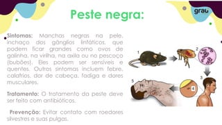 Peste negra:
Sintomas: Manchas negras na pele,
inchaço dos gânglios linfáticos, que
podem ficar grandes como ovos de
galinha, na virilha, na axila ou no pescoço
(bubões). Eles podem ser sensíveis e
quentes. Outros sintomas incluem febre,
calafrios, dor de cabeça, fadiga e dores
musculares.
Tratamento: O tratamento da peste deve
ser feito com antibióticos.
Prevenção: Evitar contato com roedores
silvestres e suas pulgas.
 