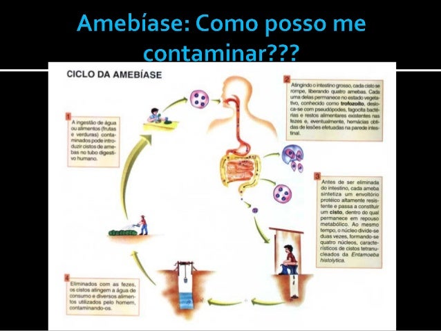 Qual é o objetivo do material de avaliação da redação no Exame Nacional do ensino médio? Qual é o objetivo do material de avaliação da redação no Exame Nacional do ensino médio?