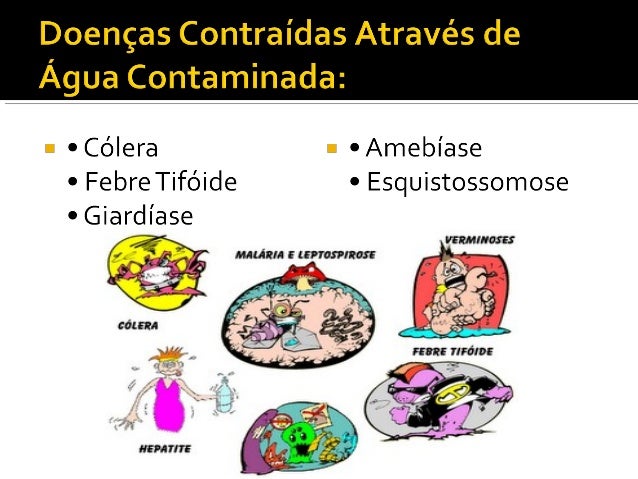 Doenças transmitidas pela água