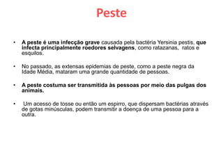 PesteA peste é uma infecção grave causada pela bactéria Yersinia pestis, que infecta principalmente roedores selvagens, como ratazanas,  ratos e   esquilos.No passado, as extensas epidemias de peste, como a peste negra da Idade Média, mataram uma grande quantidade de pessoas.A peste costuma ser transmitida às pessoas por meio das pulgas dos animais. Um acesso de tosse ou então um espirro, que dispersam bactérias através de gotas minúsculas, podem transmitir a doença de uma pessoa para a outra.