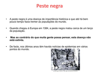 Peste negraA peste negra é uma doença de importância histórica e que até há bem pouco tempo fazia tremer as populações do mundo. Quando chegou à Europa em 1384, a peste negra matou cerca de um terço da população.Mas ao contrário do que muita gente possa pensar, esta doença não está extinta.De facto, nos últimos anos têm havido notícias de epidemias em vários pontos do mundo. 