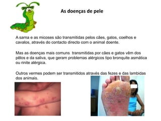 As doenças de pele	A sarna e as micoses são transmitidas pelos cães, gatos, coelhos e cavalos, através do contacto directo com o animal doente. 	Mas as doenças mais comuns  transmitidas por cães e gatos vêm dos pêlos e da saliva, que geram problemas alérgicos tipo bronquite asmática ou rinite alérgica.	Outros vermes podem ser transmitidos através das fezes e das lambidas dos animais.