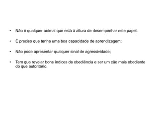 Não é qualquer animal que está à altura de desempenhar este papel.É preciso que tenha uma boa capacidade de aprendizagem; Não pode apresentar qualquer sinal de agressividade;Tem que revelar bons índices de obediência e ser um cão mais obediente do que autoritário.
