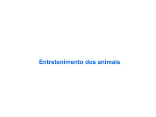 Entretenimento dos animais