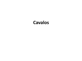 Cavalos 