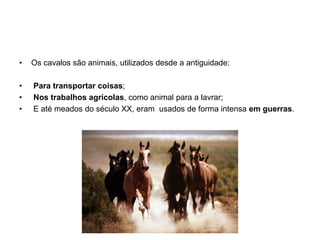 Os cavalos são animais, utilizados desde a antiguidade:Para transportar coisas;Nos trabalhos agrícolas, como animal para a lavrar; E até meados do século XX, eram  usados de forma intensa em guerras.