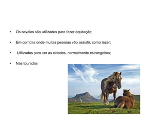 Os cavalos são utilizados para fazer equitação; Em corridas onde muitas pessoas vão assistir, como lazer; Utilizados para ver as cidades, normalmente estrangeiros; Nas touradas