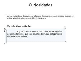 CuriosidadesA raça mais rápida de cavalos, é o famoso thoroughbred, onde chega a alcança em média a incrível velocidade de 17 m/s (60 km/h).Um velho ditado inglês diz:A good horse is never a bad colour, o que significa,         aproximadamente, que se o cavalo é bom, sua pelagem será necessariamente boa.