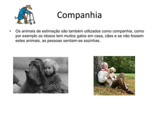 CompanhiaOs animais de estimação são também utilizados como companhia, como por exemplo os idosos tem muitos gatos em casa, cães e se não fossem estes animais, as pessoas sentiam-se sozinhas.  