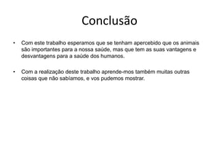 ConclusãoCom este trabalho esperamos que se tenham apercebido que os animais são importantes para a nossa saúde, mas que tem as suas vantagens e desvantagens para a saúde dos humanos.Com a realização deste trabalho aprende-mos também muitas outras coisas que não sabíamos, e vos pudemos mostrar.