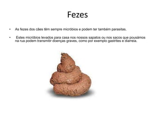Fezes As fezes dos cães têm sempre micróbios e podem ter também parasitas. Estes micróbios levados para casa nos nossos sapatos ou nos sacos que pousámos na rua podem transmitir doenças graves, como por exemplo gastrites e diarreia.