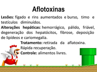 Aflotoxinas
Lesões: fígado e rins aumentados e burso, timo e
testículos diminuídos.
Alterações hepáticas: hemorrágico, pálido, friável,
degeneração dos hepatócitos, fibrose, deposição
de lipídeos e cariomegalia.
Tratamento: retirada da aflatoxina.
Rápida recuperação.
Controle: alimentos livres.
 