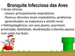 Bronquite Infecciosa das Aves
• Sinais clínicos:
-Jovens: principalmente respiratórios
-Postura: discretos sinais respiratórios, problemas
.....generalizados na ovipostura e atrofia renal.
• Nefropatogênicas: em aves jovens, acarretam
prostração, debilidade, desidratação e diarréia aquosa
com urato nas fezes.
 