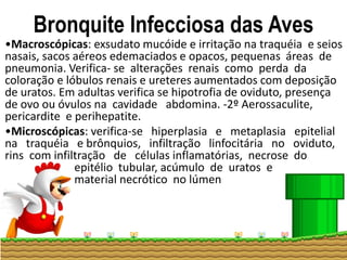 Bronquite Infecciosa das Aves
•Macroscópicas: exsudato mucóide e irritação na traquéia e seios
nasais, sacos aéreos edemaciados e opacos, pequenas áreas de
pneumonia. Verifica- se alterações renais como perda da
coloração e lóbulos renais e ureteres aumentados com deposição
de uratos. Em adultas verifica se hipotrofia de oviduto, presença
de ovo ou óvulos na cavidade abdomina. -2º Aerossaculite,
pericardite e perihepatite.
•Microscópicas: verifica-se hiperplasia e metaplasia epitelial
na traquéia e brônquios, infiltração linfocitária no oviduto,
rins com infiltração de células inflamatórias, necrose do
epitélio tubular, acúmulo de uratos e
material necrótico no lúmen
.
 