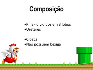 Composição
•Rins - divididos em 3 lobos
•Ureteres
•Cloaca
•Não possuem bexiga
 