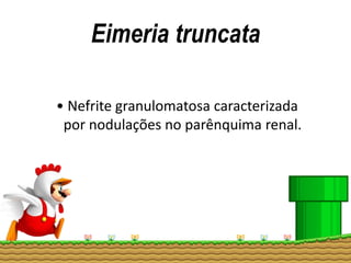 Eimeria truncata
• Nefrite granulomatosa caracterizada
por nodulações no parênquima renal.
 