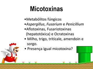 Micotoxinas
•Metabólitos fúngicos
•Aspergillus, Fusarium e Penicillium
•Aflotoxinas, Fusariotoxinas
(hepatotóxica) e Ocratoxinas
• Milho, trigo, triticale, amendoin e
sorgo.
• Presença igual micotoxina?
 
