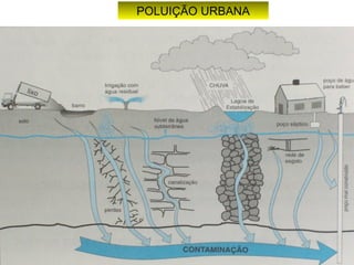 POLUIÇÃO URBANA
 