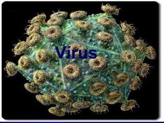 Vírus 