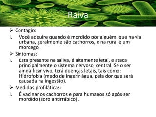  Contagio:
I. Você adquire quando é mordido por alguém, que na via
urbana, geralmente são cachorros, e na rural é um
morcego,
 Sintomas:
I. Esta presente na saliva, é altamente letal, e ataca
principalmente o sistema nervoso central. Se o ser
ainda ficar vivo, terá doenças letais, tais como:
Hidrofobia (medo de ingerir água, pela dor que será
causada na ingestão).
 Medidas profiláticas:
I. É vacinar os cachorros e para humanos só após ser
mordido (soro antirrábico) .
Raiva
 