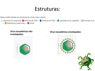 Estruturas:
Vírus icosaédricos envelopados:Vírus icosaédricos não-
envelopados:
 