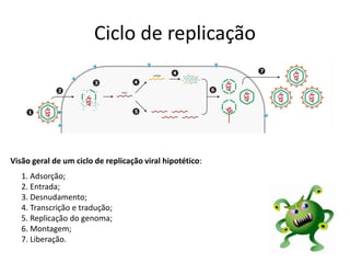 Ciclo de replicação
Visão geral de um ciclo de replicação viral hipotético:
1. Adsorção;
2. Entrada;
3. Desnudamento;
4. Transcrição e tradução;
5. Replicação do genoma;
6. Montagem;
7. Liberação.
 