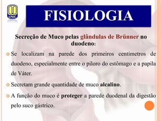 Secreção de Muco pelas glândulas de Brünner no
duodeno:
 Se localizam na parede dos primeiros centímetros de
duodeno, especialmente entre o piloro do estômago e a papila
de Váter.
 Secretam grande quantidade de muco alcalino.
 A função do muco é proteger a parede duodenal da digestão
pelo suco gástrico.
FISIOLOGIA
 