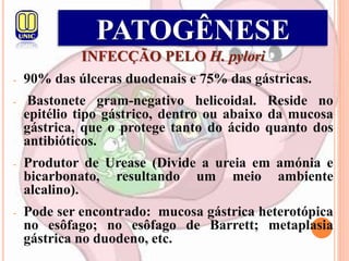 INFECÇÃO PELO H. pylori
- 90% das úlceras duodenais e 75% das gástricas.
- Bastonete gram-negativo helicoidal. Reside no
epitélio tipo gástrico, dentro ou abaixo da mucosa
gástrica, que o protege tanto do ácido quanto dos
antibióticos.
- Produtor de Urease (Divide a ureia em amónia e
bicarbonato, resultando um meio ambiente
alcalino).
- Pode ser encontrado: mucosa gástrica heterotópica
no esôfago; no esôfago de Barrett; metaplasia
gástrica no duodeno, etc.
PATOGÊNESE
 