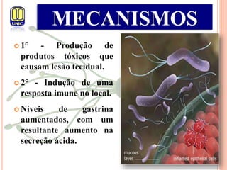  1° - Produção de
produtos tóxicos que
causam lesão tecidual.
 2° - Indução de uma
resposta imune no local.
 Níveis de gastrina
aumentados, com um
resultante aumento na
secreção ácida.
MECANISMOS
 