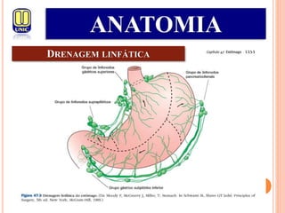 DRENAGEM LINFÁTICA
ANATOMIA
 