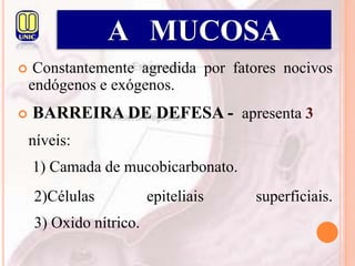 Constantemente agredida por fatores nocivos
endógenos e exógenos.
 BARREIRA DE DEFESA - apresenta 3
níveis:
1) Camada de mucobicarbonato.
2)Células epiteliais superficiais.
3) Oxido nítrico.
A MUCOSA
 