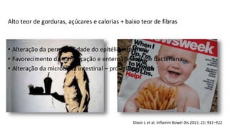 Dixon L et al. Inflamm Bowel Dis 2015; 21: 912–922
Alto teor de gorduras, açúcares e calorias + baixo teor de fibras
• Alteração da permeabilidade do epitélio intestinal
• Favorecimento da translocação e enteroadesividade bacteriana
• Alteração da microbiota intestinal – pró-inflamatória
 