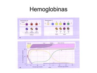 Hemoglobinas
 