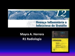 Mayra A. Herrera
R1 Radiología
 