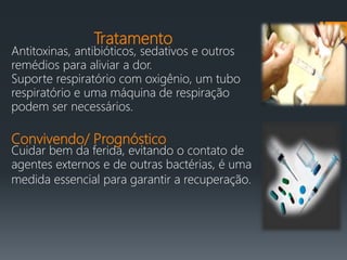 Tratamento
Antitoxinas, antibióticos, sedativos e outros
remédios para aliviar a dor.
Suporte respiratório com oxigênio, um tubo
respiratório e uma máquina de respiração
podem ser necessários.
Convivendo/ Prognóstico
Cuidar bem da ferida, evitando o contato de
agentes externos e de outras bactérias, é uma
medida essencial para garantir a recuperação.
 