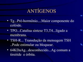 ANTÍGENOS Tg...Pré-hormônio....Maior componente do colóide. TPO...Catalisa sintese T3,T4...ligado a membrana. TSH-R... Transdução da mensagem TSH ..Pode estimular ou bloquear. 64KDaAg...desconhecido...Ag comum a tireóide  e órbita.  