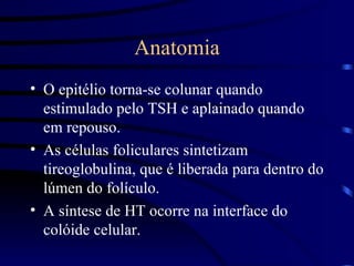 Anatomia O epitélio torna-se colunar quando estimulado pelo TSH e aplainado quando em repouso. As células foliculares sintetizam tireoglobulina, que é liberada para dentro do lúmen do folículo. A síntese de HT ocorre na interface do colóide celular. 